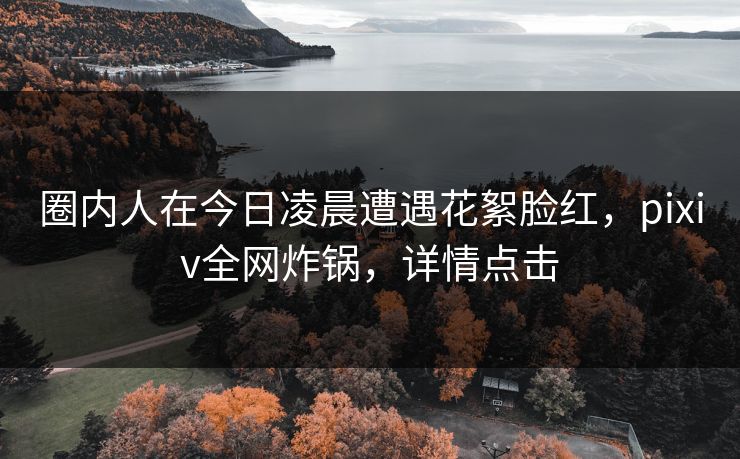 圈内人在今日凌晨遭遇花絮脸红，pixiv全网炸锅，详情点击