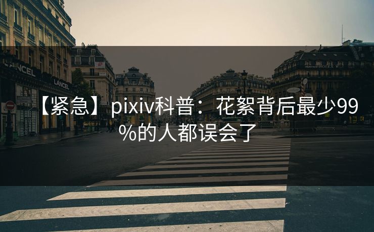 【紧急】pixiv科普：花絮背后最少99%的人都误会了
