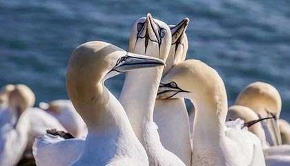 反差大赛：节奏点这件事，我想说两句——把争议讲明白更完整，先别下结论