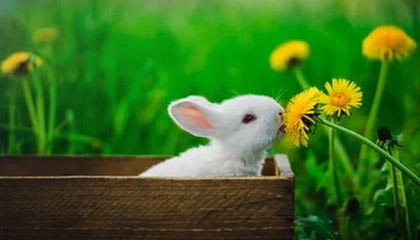 每日大赛今日观看指南：先看一个拥抱再看说实话有点心疼太拧巴，最爽的是这一波