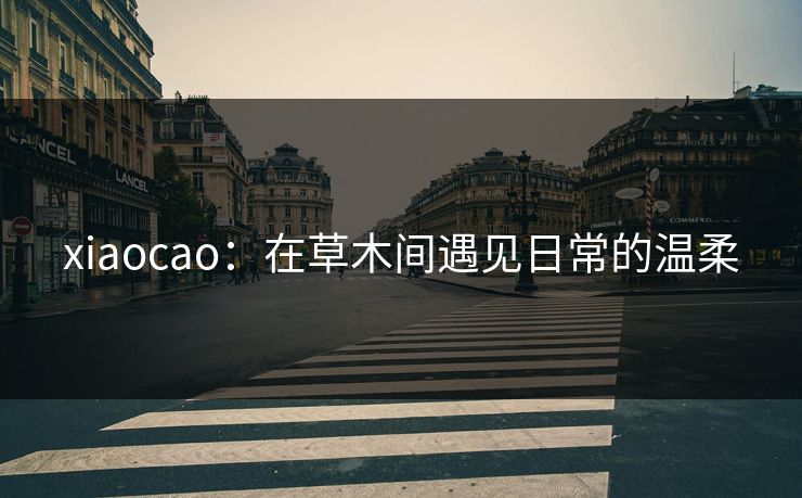 xiaocao：在草木间遇见日常的温柔