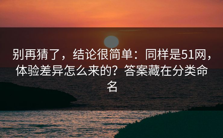 别再猜了，结论很简单：同样是51网，体验差异怎么来的？答案藏在分类命名